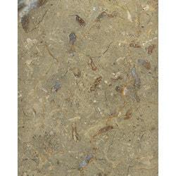 carved-stone-creationsincmarble-floor-tile