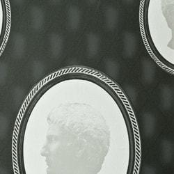 walls-republic-cameo-ornamental-picture-frame-wallpaper