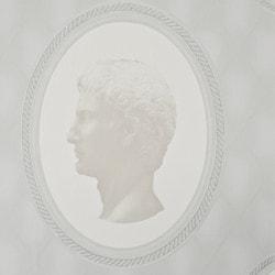 walls-republic-cameo-ornamental-picture-frame-wallpaper