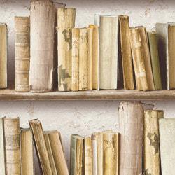walls-republic-rustic-contemporary-vintage-bookshelf-wallpaper