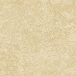 walls-republic-vintage-classic-urban-city-map-wallpaper